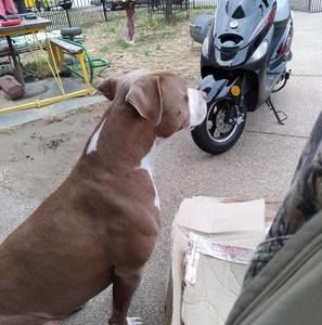 Meet your Posher, Darrell